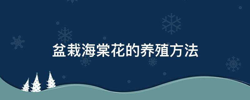 盆栽海棠花的养殖方法（盆栽海棠花的养殖方法夏季）