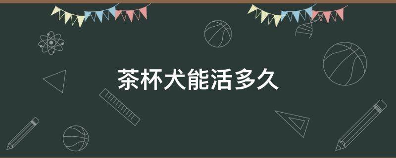 茶杯犬能活多久 茶杯犬能活多久死亡