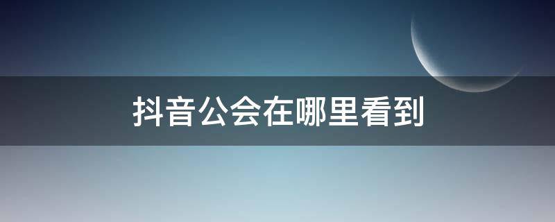 抖音公会在哪里看到（抖音公会在哪看的）