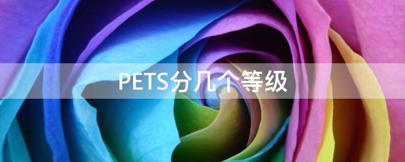 PETS分几个等级（pets分为几个等级）