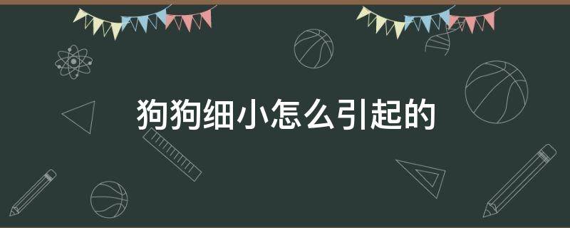 狗狗细小怎么引起的（狗狗得细小是什么原因引起的）