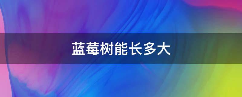 蓝莓树能长多大（蓝莓树能长多大多高）