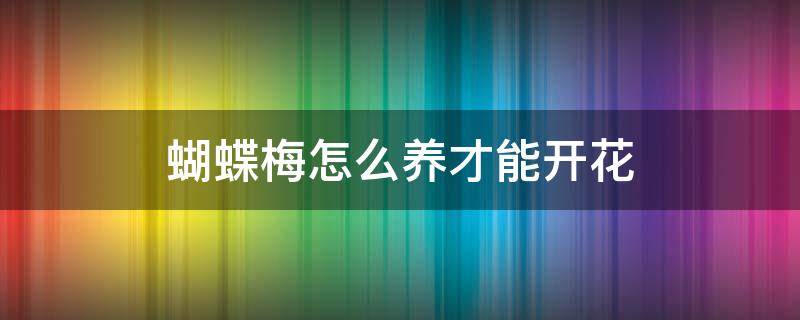 蝴蝶梅怎么养才能开花 蝴蝶梅的养殖方法和注意事项一年开几次花