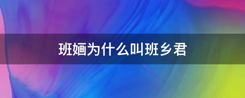 班婳为什么叫班乡君 班婳为什么又叫班乡君