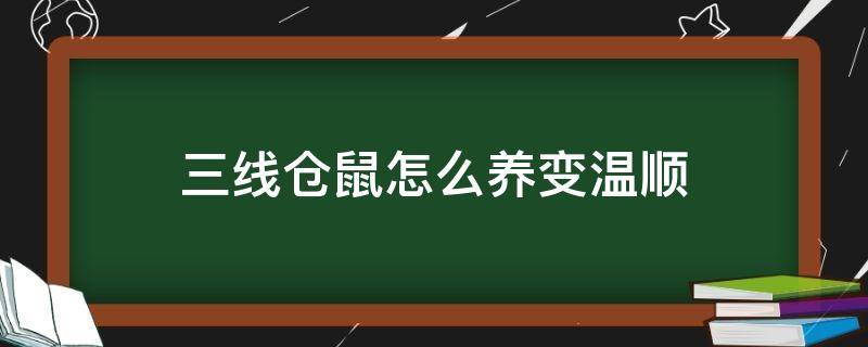 三线仓鼠怎么养变温顺（一线仓鼠怎么养变温顺）