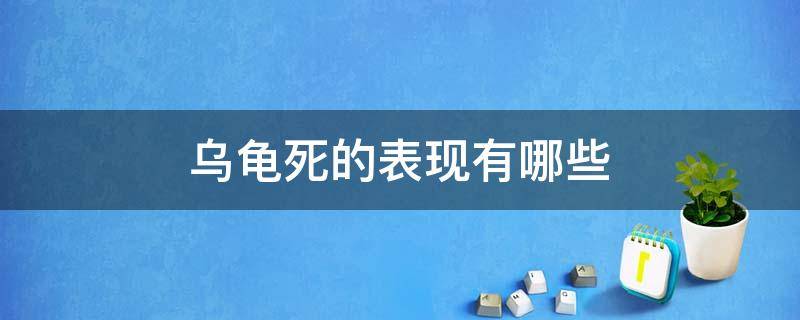 乌龟死的表现有哪些（乌龟死的原因有哪些）