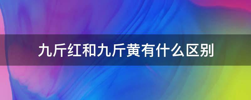 九斤红和九斤黄有什么区别 九斤黄鸡是什么