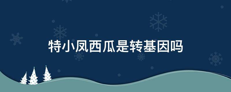 特小凤西瓜是转基因吗 特小凤西瓜和西瓜区别