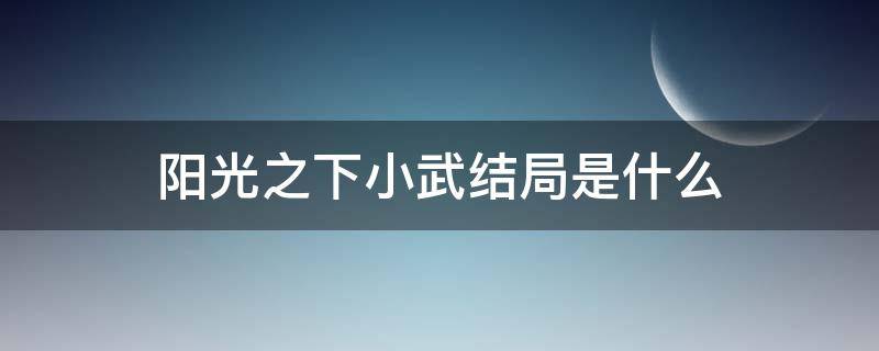 阳光之下小武结局是什么（阳光之下小武到底爱谁）