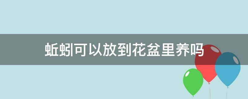 蚯蚓可以放到花盆里养吗 蚯蚓可以放到花盆里养吗?
