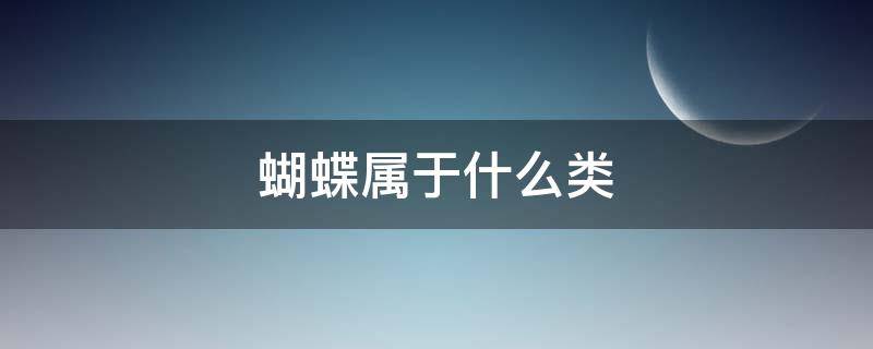 蝴蝶属于什么类（青蛙和蝴蝶属于什么类）