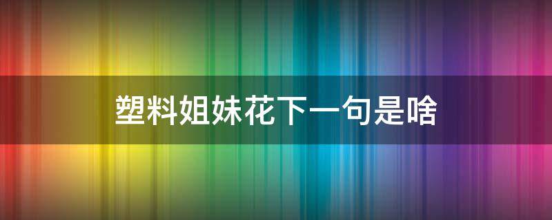 塑料姐妹花下一句是啥(塑料姐妹花的下一句)