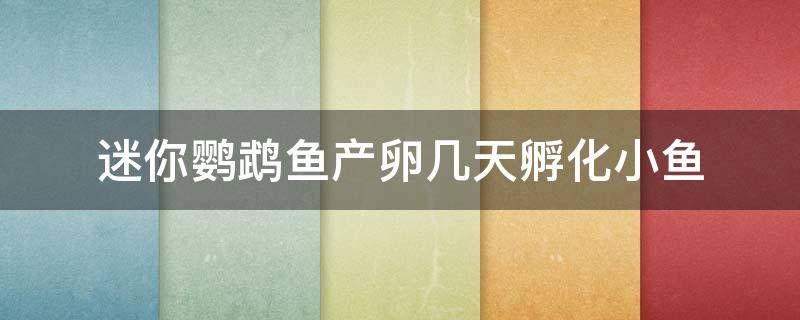 迷你鹦鹉鱼产卵几天孵化小鱼(迷你鹦鹉鱼产卵几天孵化小鱼几天分缸)