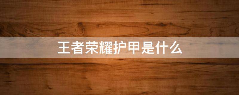 王者荣耀护甲是什么(王者 护甲)