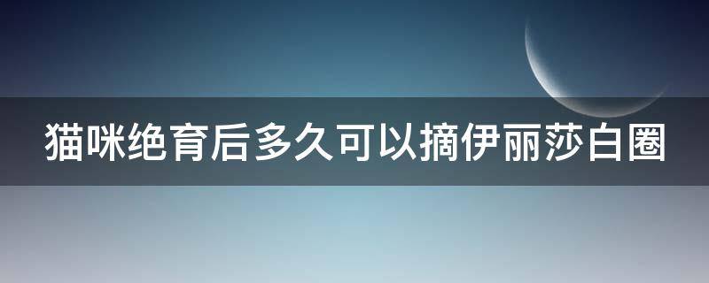 猫咪绝育后多久可以摘伊丽莎白圈 猫猫做完绝育手术后几天可以取伊丽莎白圈