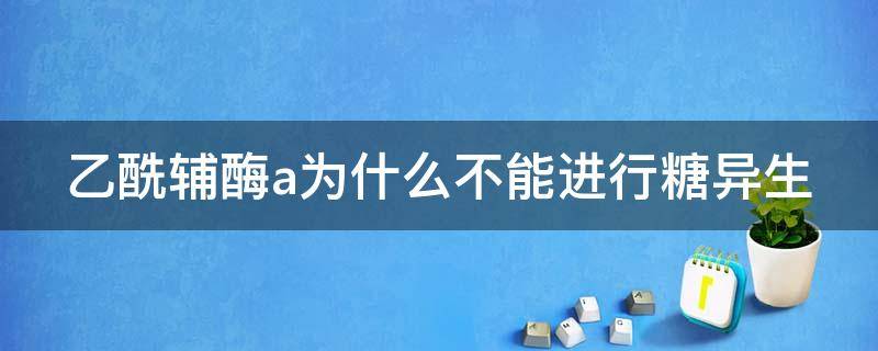 乙酰辅酶a为什么不能进行糖异生（乙酰辅酶a为什么不能作为糖异生原料）