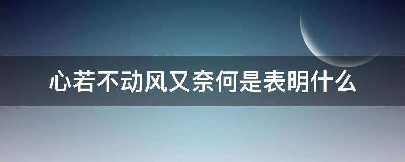 心若不动风又奈何是表明什么（心若不动,风又奈我何是什么意思）