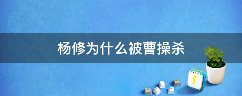 杨修为什么被曹操杀（杨修为什么被曹操杀掉了原因是因为什么精神）