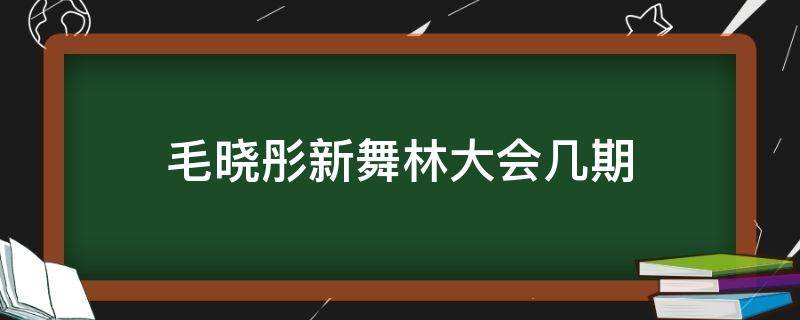 毛晓彤新舞林大会几期 《新舞林大会》毛晓彤