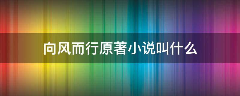 向风而行原著小说叫什么 向风而行是哪部小说