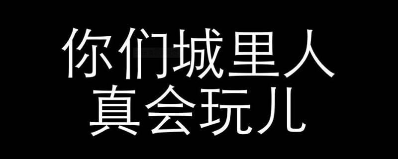 城会玩下一句怎么接（城里的人真会玩下一句）