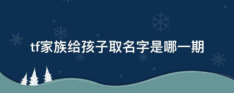 tf家族给孩子取名字是哪一期 tf家族三代出生日期加名字