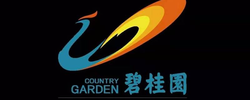 碧桂园云系是什么意思 碧桂园云系和府系