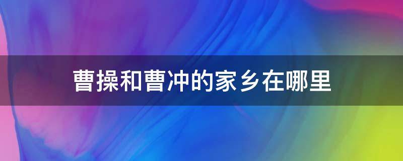 曹操和曹冲的家乡在哪里（曹冲是曹操的谁）