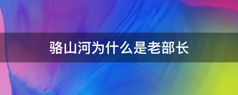 骆山河为什么是老部长 骆山河什么职务