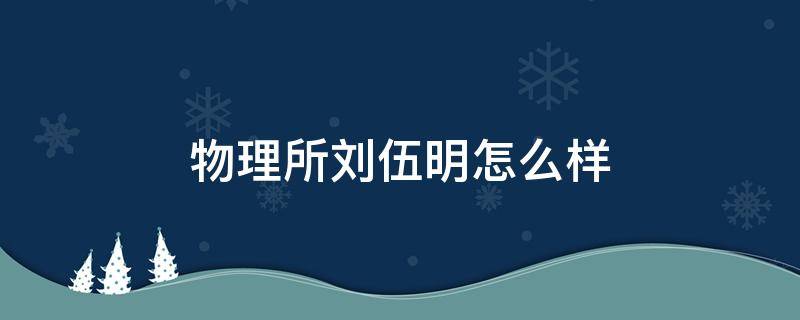 物理所刘伍明怎么样（物理所吴从军）