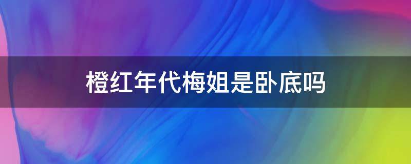 橙红年代梅姐是卧底吗 橙红年代小飞和梅姐什么关系