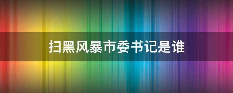 扫黑风暴市委书记是谁（扫黑风暴当时市委副书记）