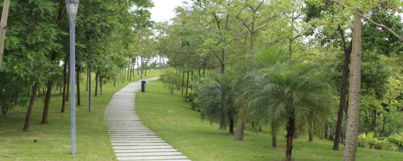 北川河湿地公园要门票吗（北川县湿地公园）