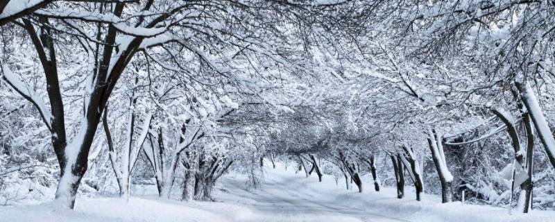 顺义看雪去哪里 顺义今天有雪吗