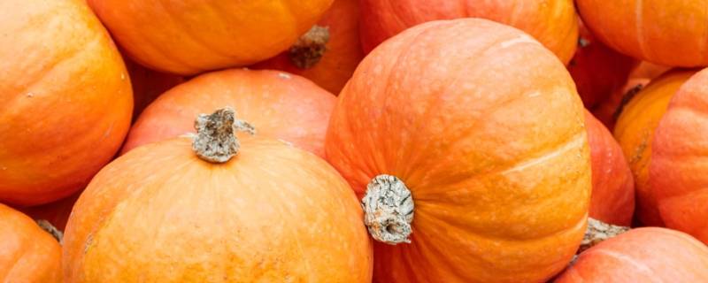 小南瓜怎么切（贝贝小南瓜怎么切）