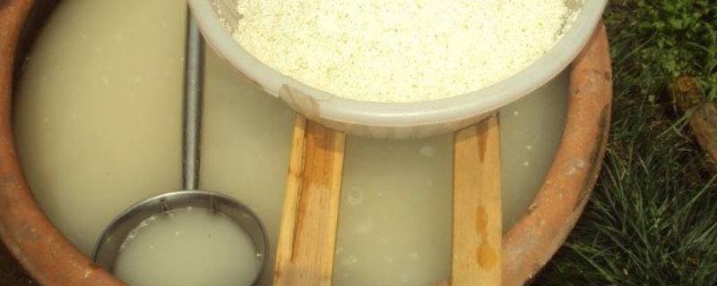 大米酿酒方法和步骤（大米酿酒方法和步骤家用）