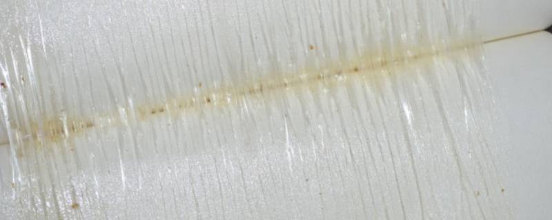 粘蝇板的胶粘手上怎么洗掉 粘蝇板的胶粘在手上怎么去掉