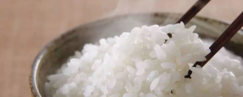 米饭可以冷冻保存多久 冷冻的米饭能保存多久
