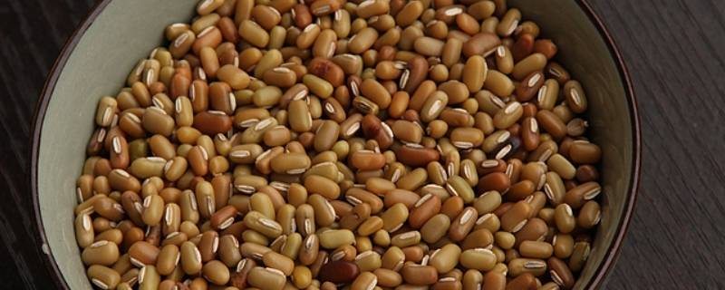 巴山豆怎么吃（巴山豆怎么吃最好）