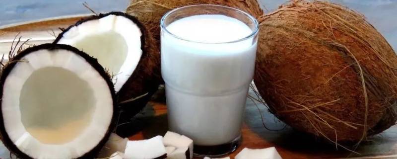 椰浆怎么调椰奶 怎么用椰浆调椰奶