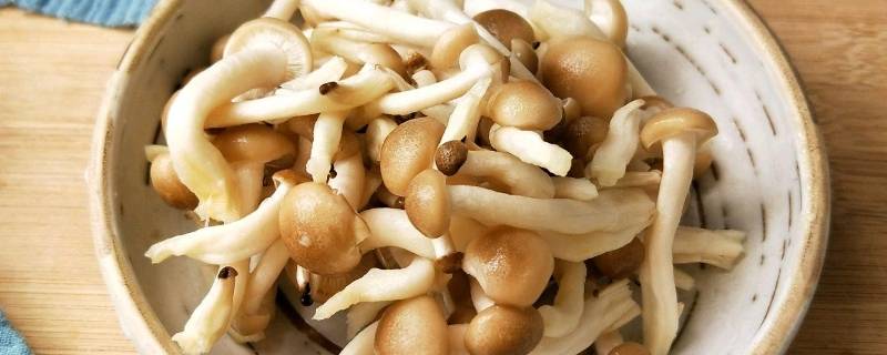 蟹味菇怎么吃 蟹味菇怎么吃比较有营养