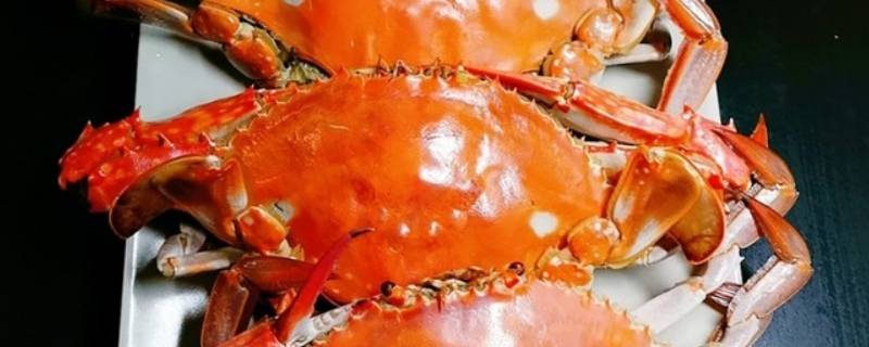 海蟹怎么吃好吃 海蟹怎么做比较好吃
