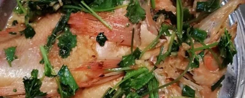 红石斑鱼怎么吃 红石斑鱼怎么吃法