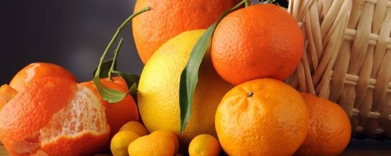 为什么水手常吃柑橘类水果
