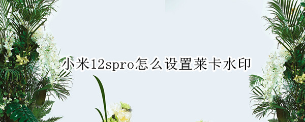 小米12spro怎么设置莱卡水印 小米12相机