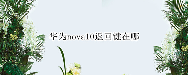 华为nova10返回键在哪（华为nova 屏幕返回键在哪）