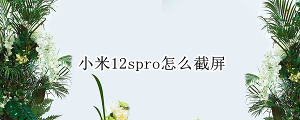 小米12spro怎么截屏（小米11截屏怎么截屏）