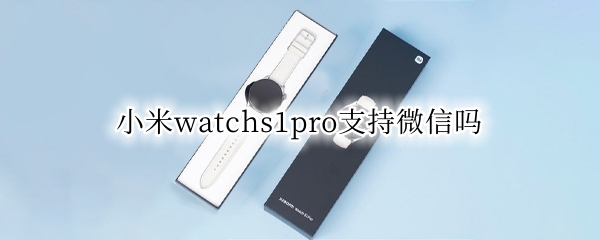 小米watchs1pro支持微信吗（小米11pro支持微信人脸支付吗）