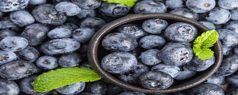 多吃蓝莓对眼睛好是真的吗 经常吃蓝莓对眼睛好吗