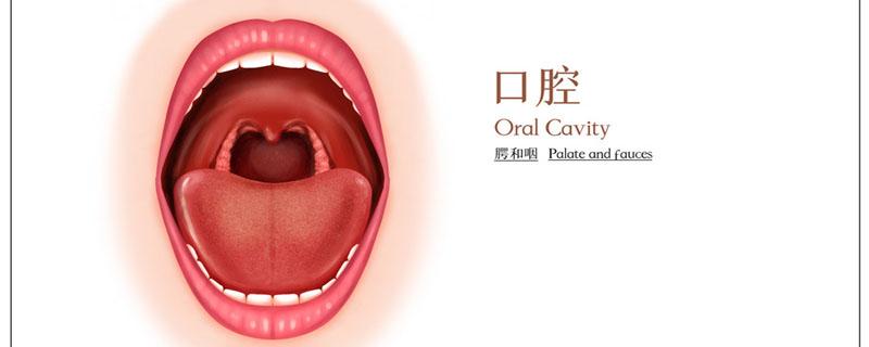 裂纹舌的最佳治疗法（舌裂纹治疗方法）